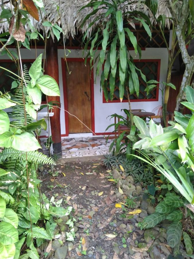 ホテル Cabinas Talamanca Sa Puerto Viejo de Talamanca エクステリア 写真