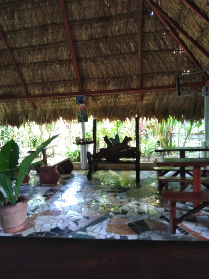 ホテル Cabinas Talamanca Sa Puerto Viejo de Talamanca エクステリア 写真