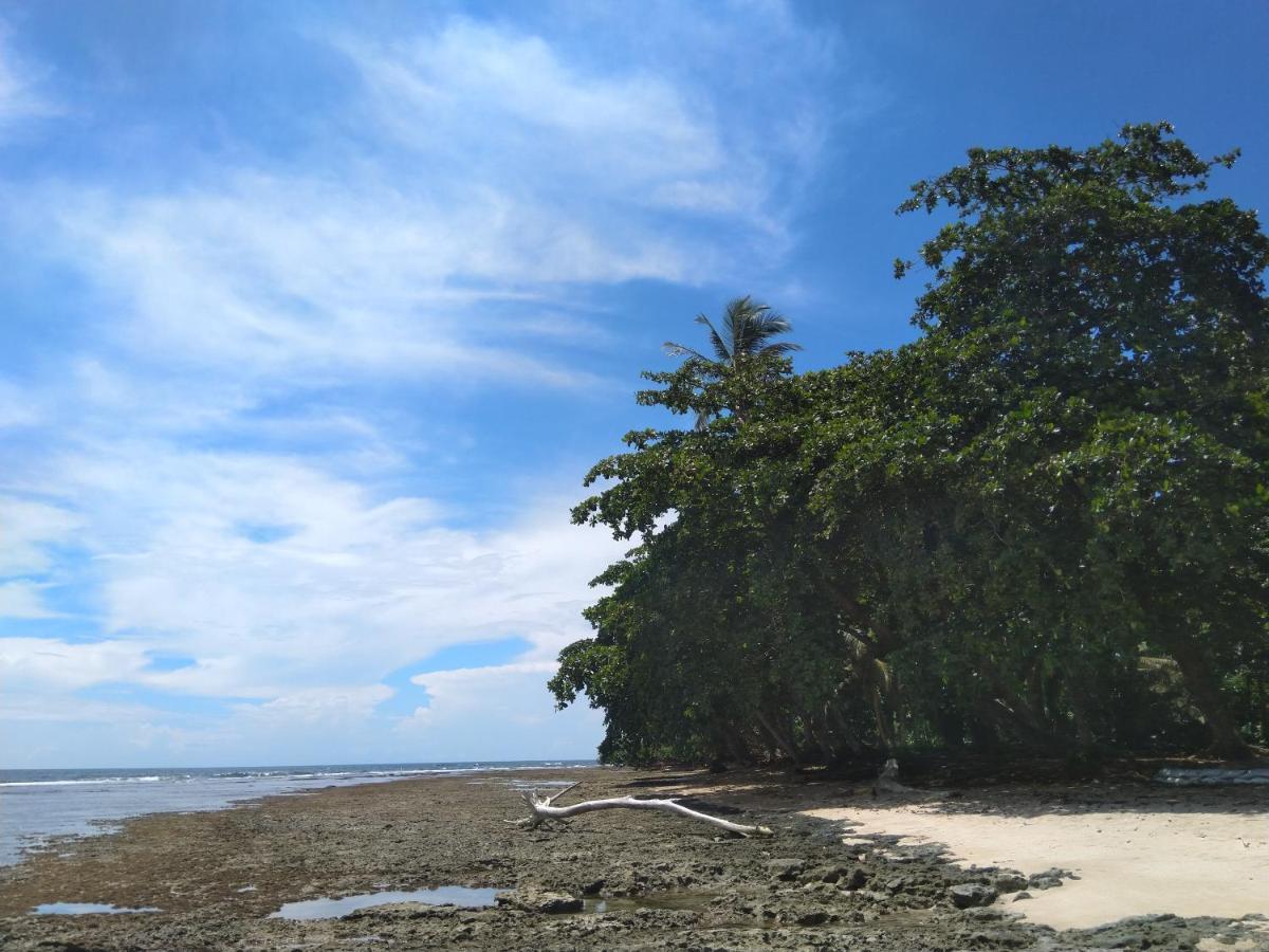 ホテル Cabinas Talamanca Sa Puerto Viejo de Talamanca エクステリア 写真