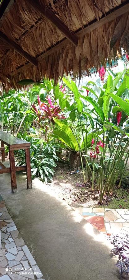 ホテル Cabinas Talamanca Sa Puerto Viejo de Talamanca エクステリア 写真